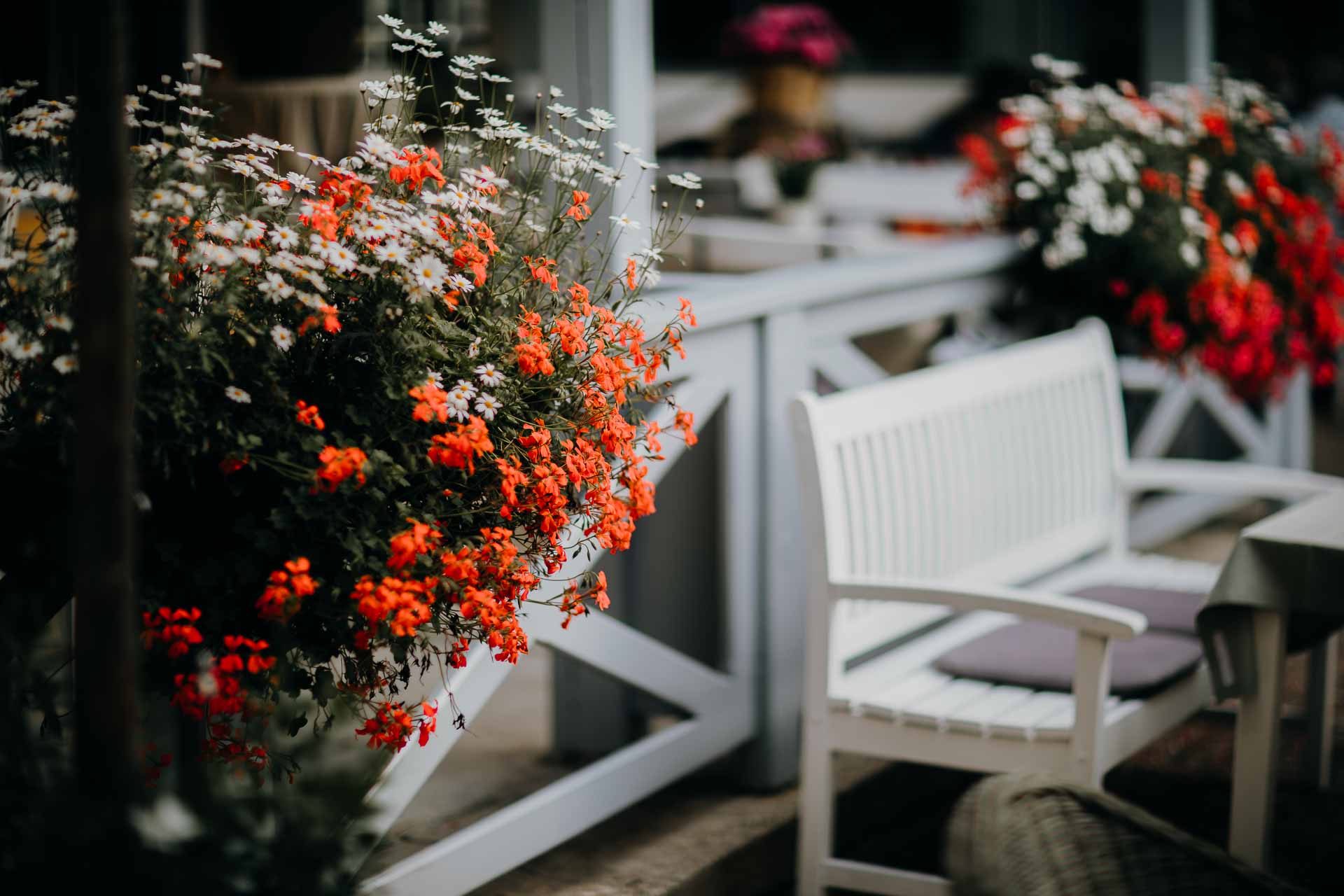 Sæsonbestemte blomster: Hvordan udnytter man Årstidens blomster?